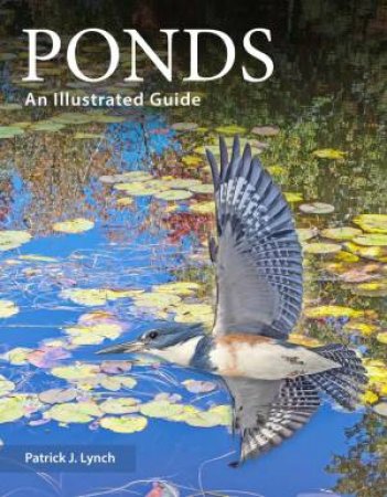 Ponds by Patrick J. Lynch