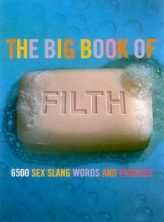 The Big Book Of Filth: 6,500 Sex Slang Words And Phrases by Jonathon Green