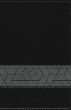 NIV Storyline Bible Indexed Edition [Black] by Emmanuel Foundation