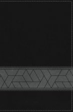 NIV Storyline Bible Indexed Edition Black