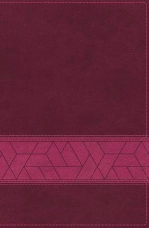 NIV Storyline Bible [Pink] by Emmanuel Foundation