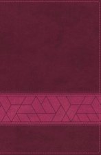 NIV Storyline Bible Pink