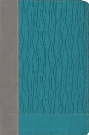 NIV Faithlife Study Bible, Indexed: Intriguing Insights To Inform Your Faith [Gray/Turquoise] by Zondervan