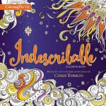 Indescribable Adult Coloring Book Based On The 1 Hit Song As Recorded By Chris Tomlin