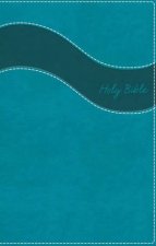 NIV Premium Gift Bible Indexed Red Letter Edition Blue