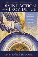 Divine Action And Providence Explorations In Constructive Dogmatics