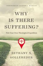 Why is There Suffering Pick Your Own Theological Expedition