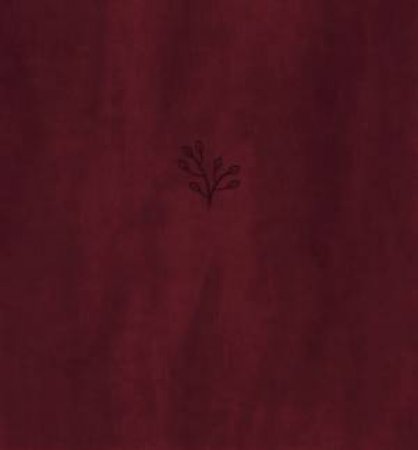 Amplified Holy Bible, XL Edition (Burgundy) by Zondervan