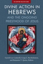 Divine Action In Hebrews And The Ongoing Priesthood Of Jesus