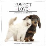 Pawfect Love Life Is Best With A Love Like Yours