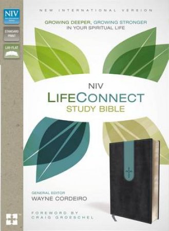 NIV Life Connect Study Bible: Growing Deeper, Growing Stronger In YourSpiritual Life [Italian Duo-Tone Gray/Blue] by Wayne Cordeiro