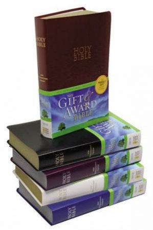 Bible: NIV UPD Gift & Award Bible - Blue Leatherlook by Various