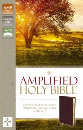 Amplified Holy Bible - Burgundy by Various