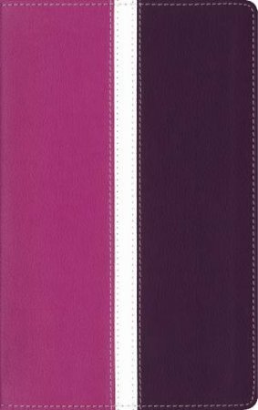 Amplified Holy Bible - Orchid & Plum by Various