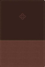 Amplified Study Bible Indexed Brown