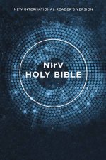 NIrV Outreach Bible Blue