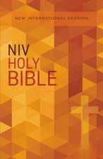 NIV Value Outreach Bible Orange