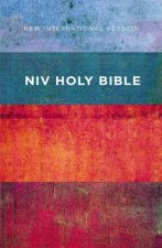 NIV Value Outreach Bible RedBlue