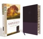 Amplified Study Bible Indexed Purple