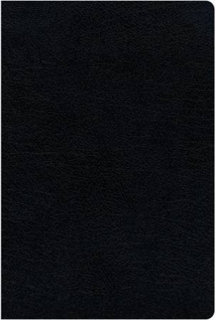 KJV Amplified Parallel Bible Red Letter Edition [Large Print, Black] by Zondervan