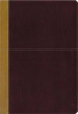 KJV Amplified Parallel Bible Red Letter Edition [Large Print, Burgundy] by Zondervan