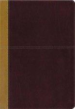 KJV Amplified Parallel Bible Red Letter Edition Large Print Burgundy