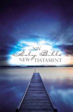 NIV Outreach New Testament Blue Pier