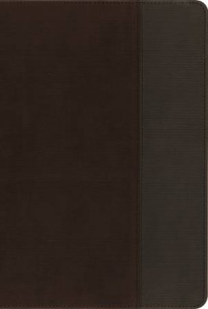 NIV, Quest Study Bible, Indexed: The Question And Answer Bible [Brown/Gray] by Zondervan