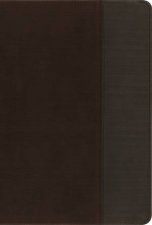 NIV Quest Study Bible Indexed The Question And Answer Bible BrownGray