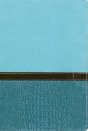 NIV, Quest Study Bible, Indexed: The Question And Answer Bible [Blue] by Zondervan