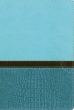 NIV Quest Study Bible Indexed The Question And Answer Bible Blue