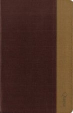 NIV Quest Study Bible Personal Size Indexed The Question And Answer Bible BurgundyTan