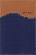 NIV Gift Bible Indexed Red Letter Edition TanBlue