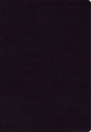 NIV Thinline Bible Red Letter Edition [Large Print, Black] by Zondervan