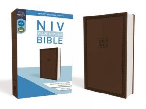 NIV Value Thinline Bible [Brown] by Zondervan