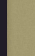 NIV Thinline Bible Red Letter Edition Giant print BlueTan