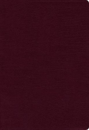 NIV Thinline Bible Indexed Red Letter Edition [Giant Print, Burgundy] by Zondervan