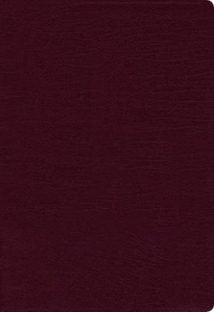 NIV Thinline Bible Red Letter Edition [Burgundy] by Zondervan