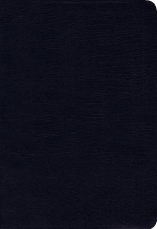 NIV Thinline Bible Indexed Red Letter Edition [Navy] by Zondervan