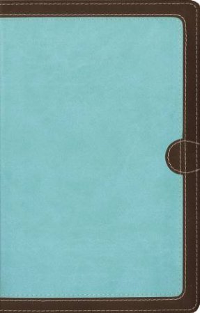 NIV Thinline Bible Red Letter Edition [Blue] by Zondervan
