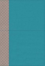 NIV Study Bible Fully Revised Edition Red Letter Thumb Indexed Comfort Print TealGrey