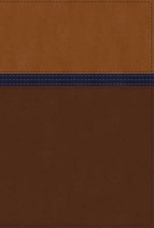 NIV Study Bible, Fully Revised Edition, Personal Size, Red Letter, ThumbIndexed, Comfort Print (Brown/Blue) by Various