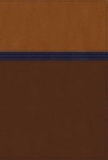 NIV Study Bible Fully Revised Edition Personal Size Red Letter ThumbIndexed Comfort Print BrownBlue