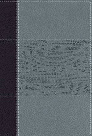 NIV Study Bible, Fully Revised Edition, Personal Size, Red Letter, Comfort Print (Navy/Blue) by Various