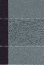 NIV Study Bible Fully Revised Edition Personal Size Red Letter Comfort Print NavyBlue