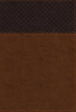 NIV Study Bible Fully Revised Edition Large Print Red Letter Thumb Indexed Comfort Print Brown