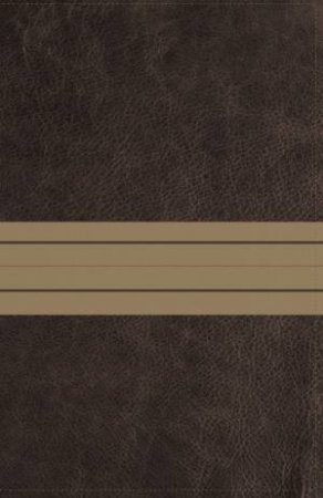NIV Journal The Word Reference Bible Red Letter Edition [Brown] by Zondervan