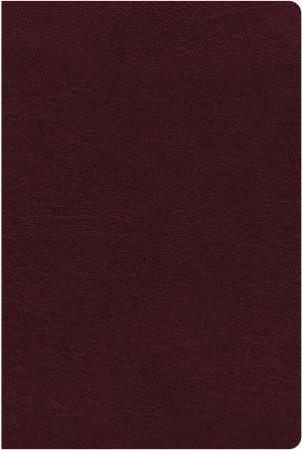 NIV Reference Bible Indexed Red Letter Edition [Giant Print, Burgundy] by Zondervan