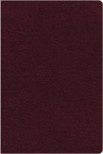 NIV Thinline Reference Bible Indexed Red Letter Edition Large Print Burgundy