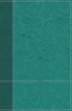 NIV Personal Size Reference Bible Indexed Red Letter Edition Large Print Blue